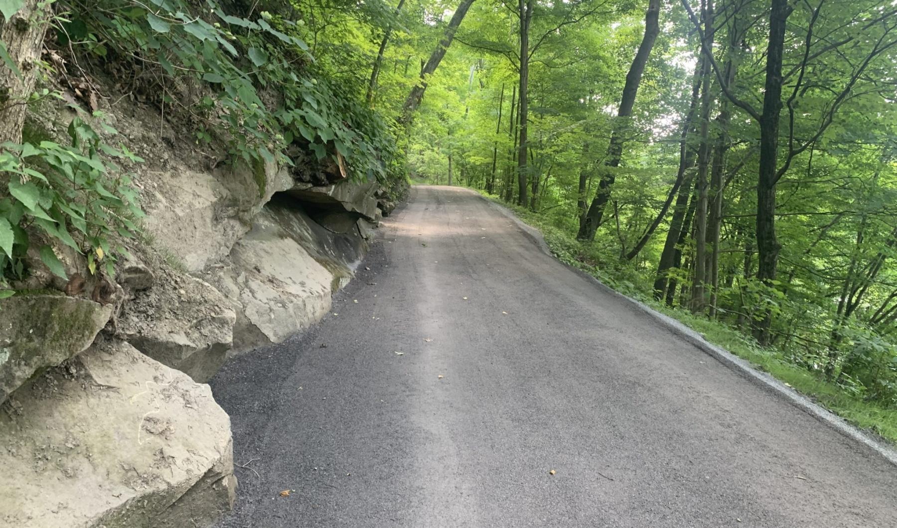 Timberline Apartments is a petfriendly apartment community in